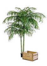 Künstliche Areca Palme - Christine, 240 cm, Kunstbaum von aplanta, im schwarzen Topf, in Natur, für drinnen