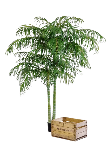 Künstliche Areca Palme - Christine, 240 cm, Kunstbaum von aplanta, im schwarzen Topf, in Natur, für drinnen