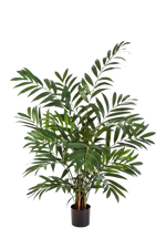Hochwertige Kunstpalme auf transparentem Hintergrund mit echt wirkenden Kunstblättern in natürlicher Anordnung. Künstliche Bergpalme - Chantal hat die Farbe Natur und ist 110 cm hoch. | aplanta Kunstpflanzen