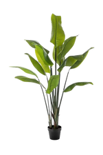 Künstliche Strelitzia - Clemens, 150 cm, Kunstbaum von aplanta, in Natur, für drinnen