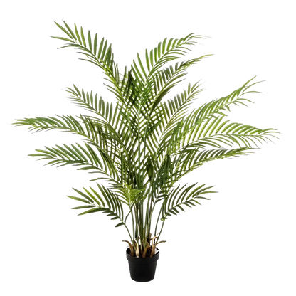 Hochwertige Kunstpalme auf transparentem Hintergrund mit echt wirkenden Kunstblättern in natürlicher Anordnung. Künstliche Goldfruchtpalme - Eva hat die Farbe Natur und ist 130 cm hoch. | aplanta Kunstpflanzen