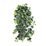 Hochwertige künstliche Hängepflanze auf transparentem Hintergrund mit echt wirkenden Kunstblättern in natürlicher Anordnung. Künstlicher Efeu - Emily hat die Farbe Natur und ist 75 cm hoch. | aplanta Kunstpflanzen