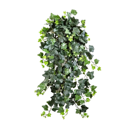Hochwertige künstliche Hängepflanze auf transparentem Hintergrund mit echt wirkenden Kunstblättern in natürlicher Anordnung. Künstlicher Efeu - Emily hat die Farbe Natur und ist 75 cm hoch. | aplanta Kunstpflanzen