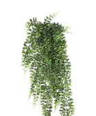 Hochwertige künstliche Hängepflanze auf transparentem Hintergrund mit echt wirkenden Kunstblättern in natürlicher Anordnung. Künstlicher Schwertfarn - Elisabeth hat die Farbe Natur und ist 75 cm hoch. | aplanta Kunstpflanzen