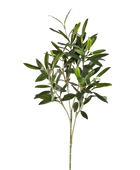 Hochwertiger Olivenbaum künstlich auf transparentem Hintergrund mit echt wirkenden Kunstblättern in natürlicher Anordnung. Künstlicher Olivenbaum-Zweig - Gero hat die Farbe Natur und ist 50 cm hoch. | aplanta Kunstpflanzen