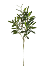 Hochwertiger Olivenbaum künstlich auf transparentem Hintergrund mit echt wirkenden Kunstblättern in natürlicher Anordnung. Künstlicher Olivenbaum-Zweig - Gero hat die Farbe Natur und ist 50 cm hoch. | aplanta Kunstpflanzen