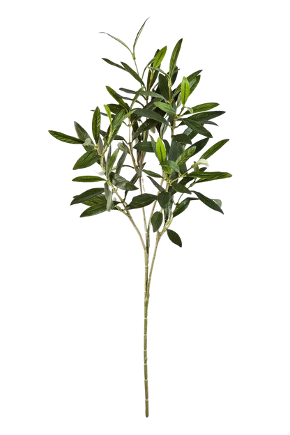Hochwertiger Olivenbaum künstlich auf transparentem Hintergrund mit echt wirkenden Kunstblättern in natürlicher Anordnung. Künstlicher Olivenbaum-Zweig - Gero hat die Farbe Natur und ist 50 cm hoch. | aplanta Kunstpflanzen