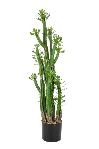 Künstlicher Kaktus - Hermann, 118 cm, Kunstpflanze von aplanta, in Natur, für drinnen