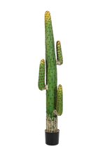 Künstlicher Kaktus - Hagen, 170 cm, Kunstpflanze von aplanta, in Natur, für drinnen