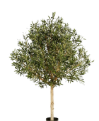 Hochwertiger Olivenbaum künstlich auf transparentem Hintergrund mit echt wirkenden Kunstblättern in natürlicher Anordnung. Künstlicher Olivenbaum - Ivy hat die Farbe Natur und ist 150 cm hoch. | aplanta Kunstpflanzen