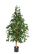 Künstlicher Baum - Katja auf transparentem Hintergrund mit echt wirkenden Kunstblättern in natürlicher Anordnung. Künstlicher Baum - Katja hat die Farbe Natur und ist 210 cm hoch. | aplanta Kunstpflanzen