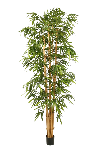 Künstlicher Bambus - Kenai, 180 cm, Kunstbaum von aplanta, mit Echtholzstamm, UV-beständig, inkl. Startertopf, in Grün