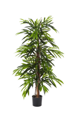 Künstliche Longifolia - Marvin | 210 cm