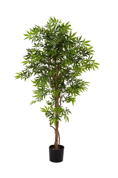 Künstlicher Japanischer Ahorn - Ottilie, 180 cm, Kunstbaum von aplanta, in Natur, für drinnen
