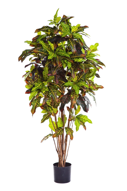 Künstlicher Croton - Ornella, 180 cm, Kunstbaum von aplanta, feuerhemmend, für drinnen