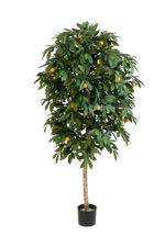 Künstlicher Orangenbaum - Pius auf transparentem Hintergrund mit echt wirkenden Kunstblättern in natürlicher Anordnung. Künstlicher Orangenbaum - Pius hat die Farbe Natur und ist 170 cm hoch. | aplanta Kunstpflanzen