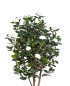 Künstliche japanische Kamelie - Patrice auf transparentem Hintergrund mit echt wirkenden Kunstblättern. Diese Kunstpflanze gehört zur Gattung/Familie der 