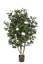 Künstliche japanische Kamelie - Patrice, 150 cm, Kunstbaum von aplanta, in Creme, für drinnen