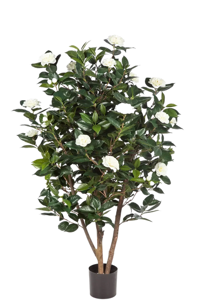Künstliche japanische Kamelie - Patrice, 150 cm, Kunstbaum von aplanta, in Creme, für drinnen