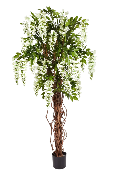 Künstliche Wisteria Liana - Ria, 180 cm, Kunstbaum von aplanta, mit Echtholzstamm, in Weiß, für drinnen
