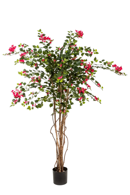 Künstlicher Drillingsblumenbaum - Rachel auf transparentem Hintergrund mit echt wirkenden Kunstblättern in natürlicher Anordnung. Künstlicher Drillingsblumenbaum - Rachel hat die Farbe Rot und ist 150 cm hoch. | aplanta Kunstpflanzen