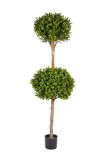 Hochwertiger Buchsbaum künstlich auf transparentem Hintergrund mit echt wirkenden Kunstblättern in natürlicher Anordnung. Künstlicher Buchsbaum - Ruben hat die Farbe Natur und ist 165 cm hoch. | aplanta Kunstpflanzen