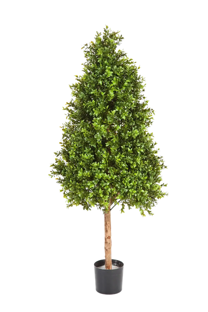 Künstlicher Buchsbaum - Rene, 140 cm, Kunstbaum von aplanta, im schwarzen Topf, in Natur, für drinnen