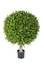 Hochwertiger Buchsbaum künstlich auf transparentem Hintergrund mit echt wirkenden Kunstblättern in natürlicher Anordnung. Künstlicher Buchsbaum - Rico hat die Farbe Natur und ist 85 cm hoch. | aplanta Kunstpflanzen