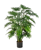 Künstlicher Philodendron - Therese auf transparentem Hintergrund mit echt wirkenden Kunstblättern in natürlicher Anordnung. Künstlicher Philodendron - Therese hat die Farbe Natur und ist 100 cm hoch. | aplanta Kunstpflanzen