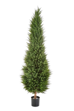 Künstliche Zypresse - Philip, 180 cm, Kunstbaum von aplanta, Real Touch, in Natur, für drinnen