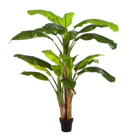 Künstlicher Bananenbaum - Pauline, 180 cm, Kunstbaum von aplanta, im schwarzen Topf, in Natur, für drinnen