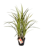 Künstliches Grass - Oceane, 75 cm, Kunstpflanze von aplanta, für drinnen