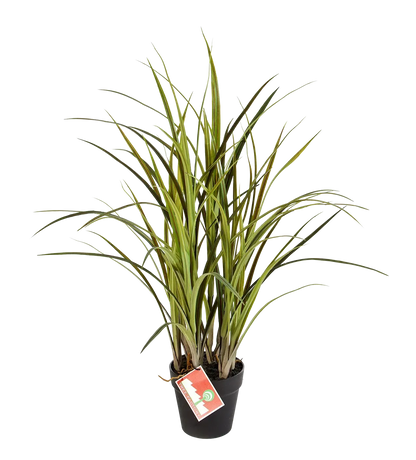 Künstliches Grass - Oceane, 75 cm, Kunstpflanze von aplanta, für drinnen