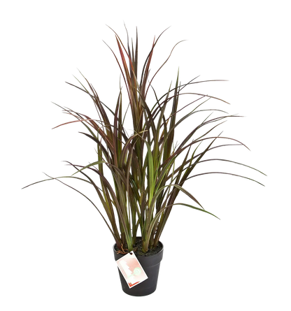 Künstliches Grass - Rote Oceane, 75 cm, Kunstpflanze von aplanta, für drinnen