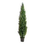 Künstliche Grüne Zeder - UV-beständig - Nathalie auf transparentem Hintergrund mit echt wirkenden Kunstblättern in natürlicher Anordnung. Künstliche Grüne Zeder - UV-beständig - Nathalie hat die Farbe Natur und ist 180 cm hoch. | aplanta Kunstpflanzen