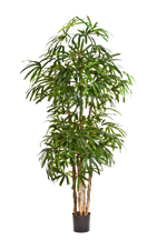 Künstliche Steckenpalme - Nela | 170 cm