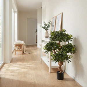 Kunst Pittosporum - Pierre | 120 cm