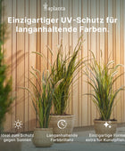 Kunst hangende ficus - Keno | 80 cm