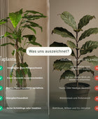 Kunstmatige Pothos - Walter | 80 cm