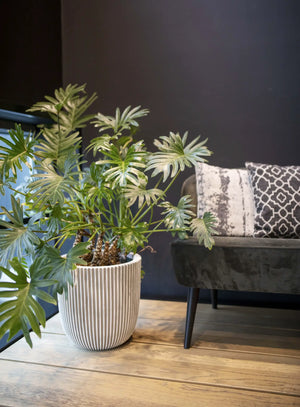 Blumentopf Kugel Groove elfenbein | 35x34 cm