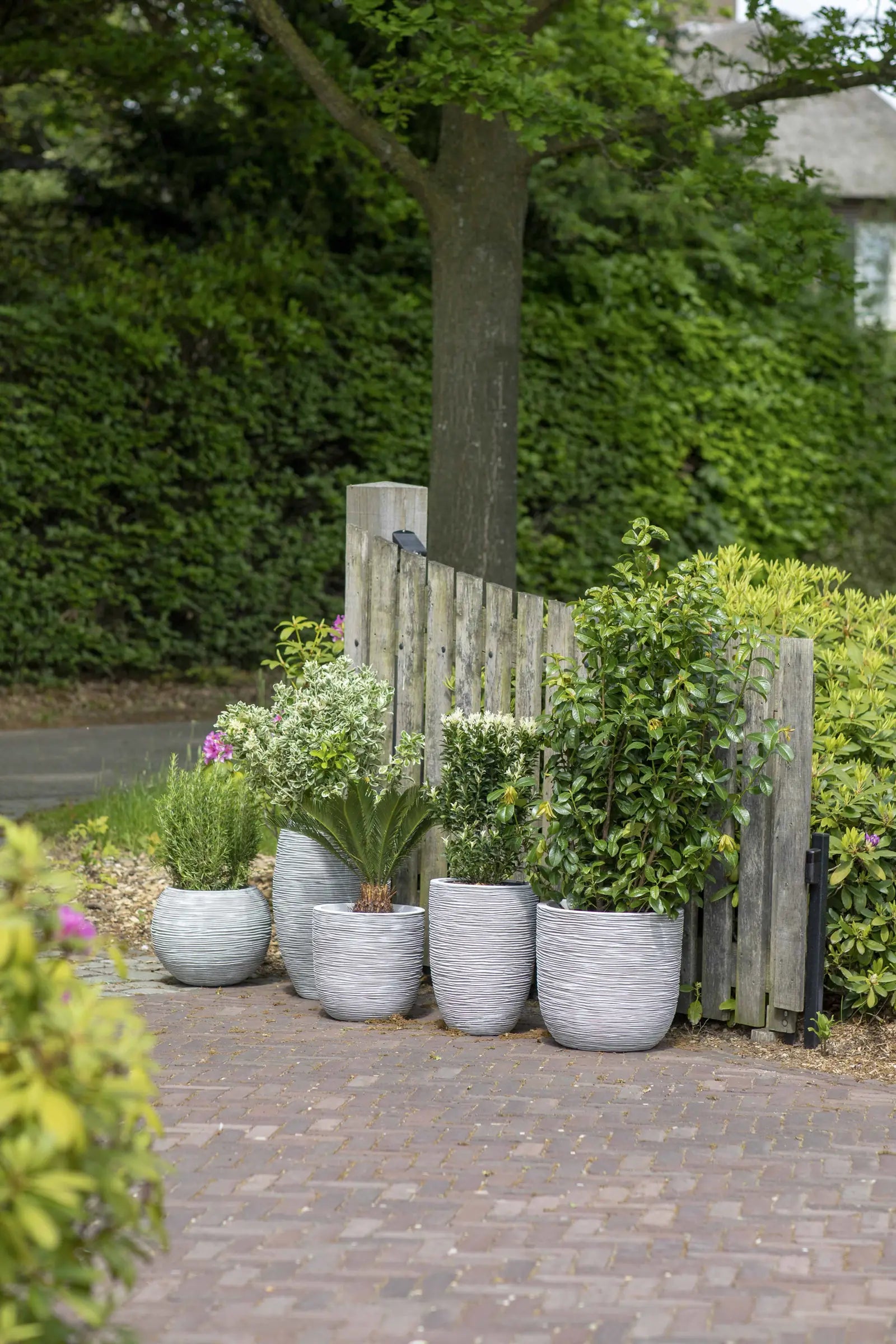 Blumentopf hoch elegant deluxe Rib elfenbein, 40x60cm, Pflanzkübel von aplanta, für drinnen & draußen