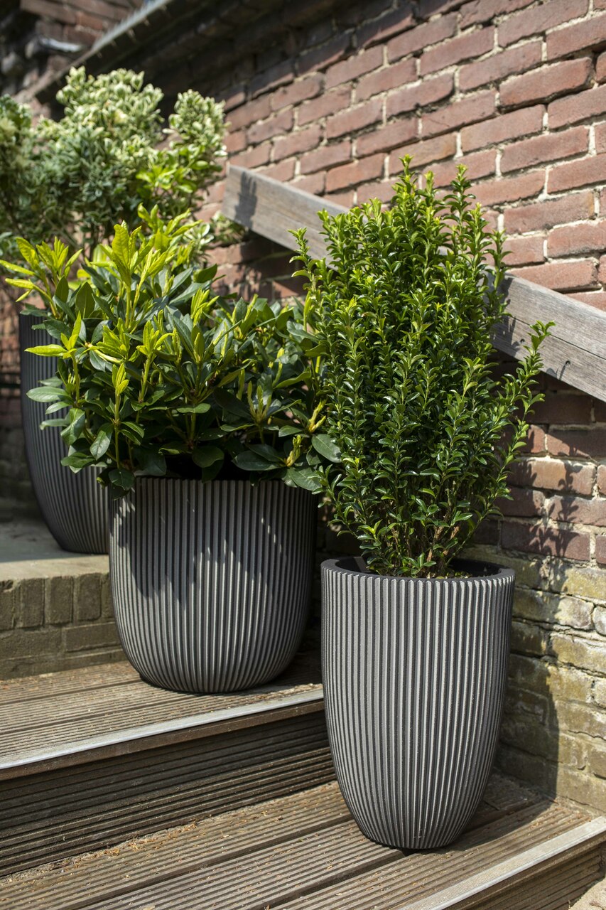 Übertopf Kugel Groove anthrazit | 54x52 cm