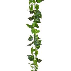 Kunstmatige pothos slinger - Christian | 220 cm