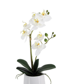 Künstliche Orchidee - Mian | 45 cm