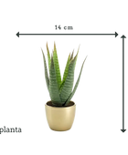 Künstliche Aloe - Patricia | 23 cm