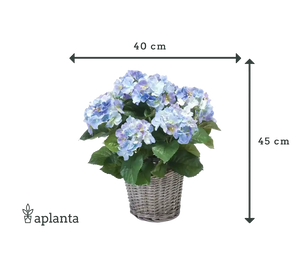 Kunstbloemen voor graven 15,2 x 18,5 cm kunstrozen Kunstbloemen voor graven 15,2 x 18,5 cm kunstrozen
