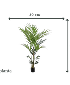 Künstliche Kentia Palme - Nathalie | 180 cm