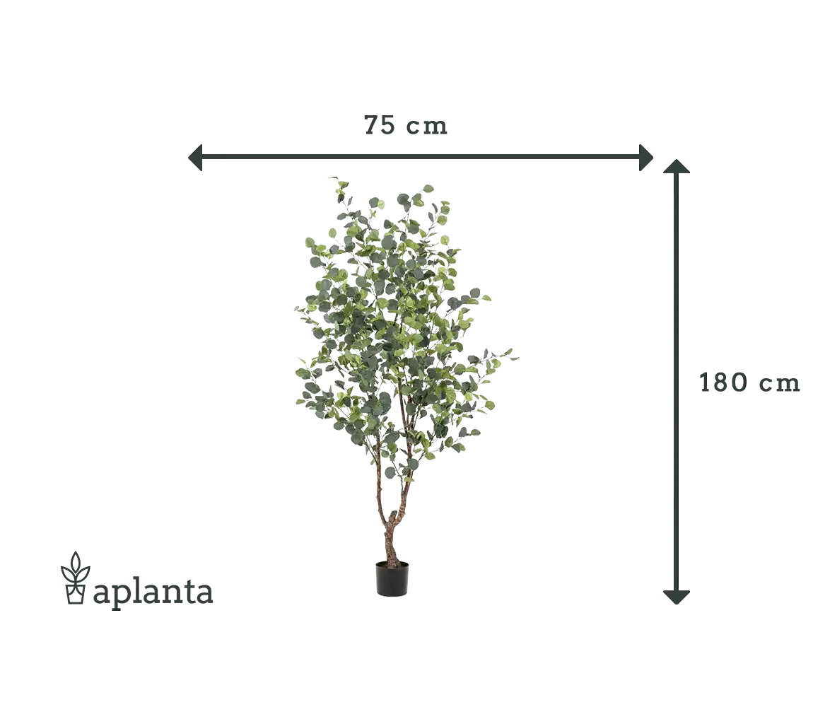 Künstlicher Eucalyptus Baum - Christopher | 180 cm