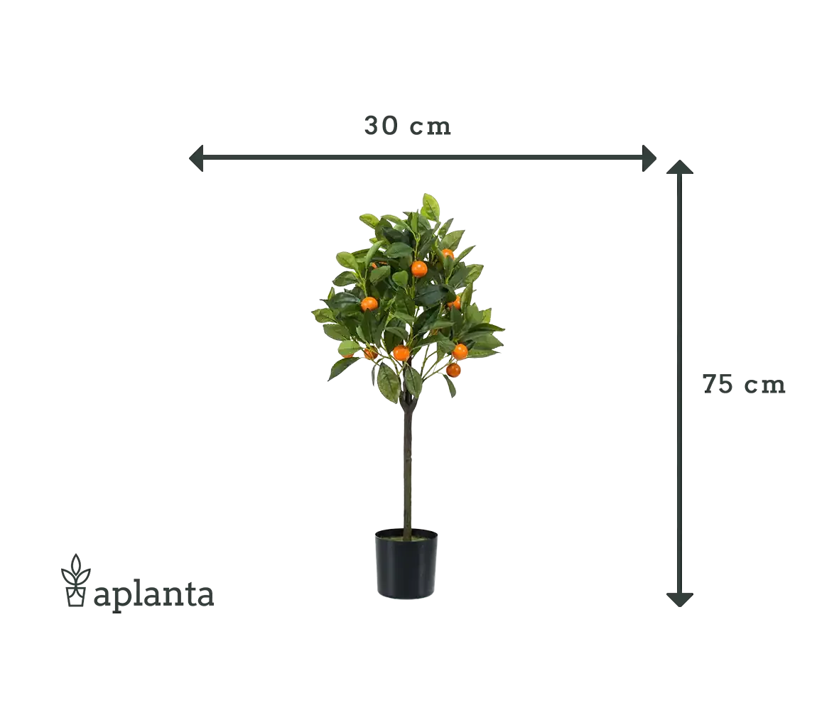 Künstlicher Orangenbaum - Julia | 75 cm