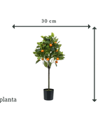 Künstlicher Orangenbaum - Julia | 75 cm